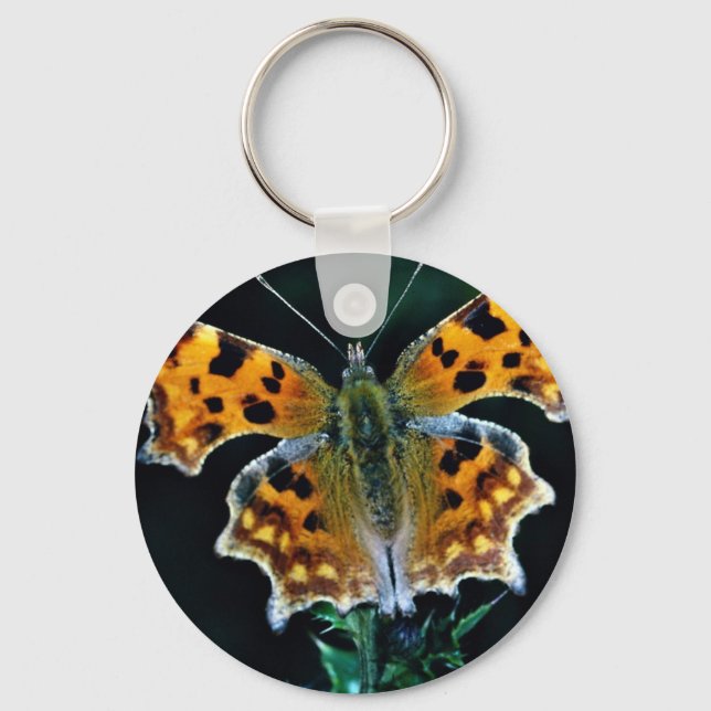 Schmetterling Schlüsselanhänger (Vorderseite)