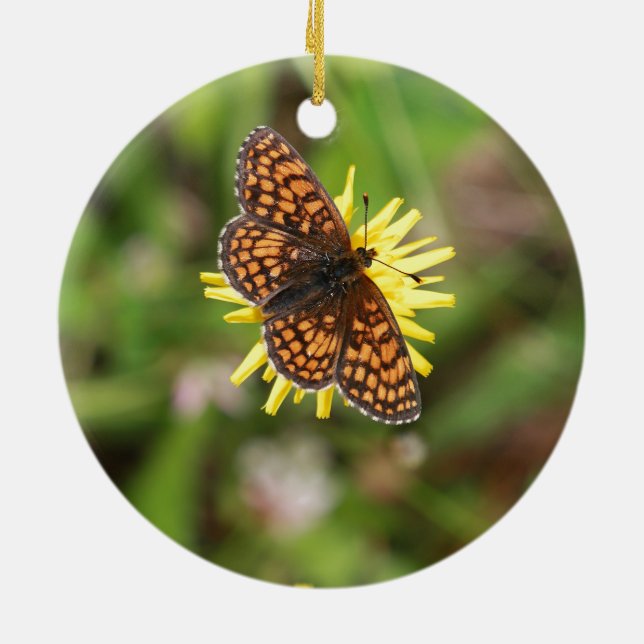 Schmetterling - Schön! Keramikornament (Hinten)