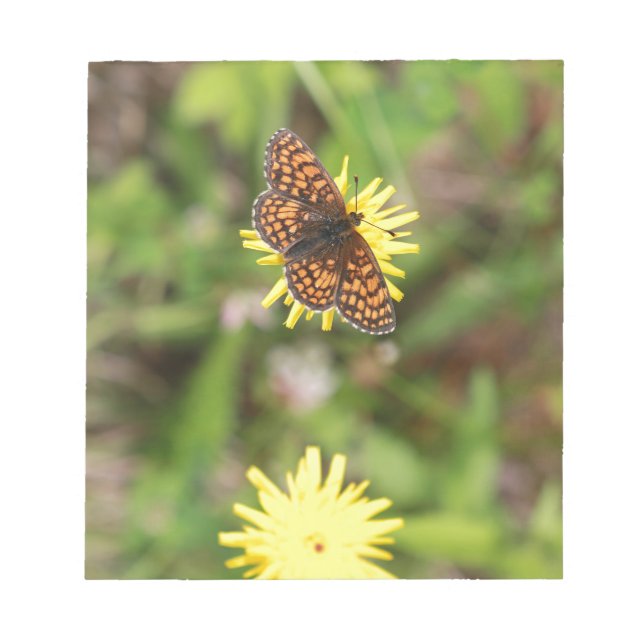 Schmetterling - Schön! Notizblock (Vorderseite)