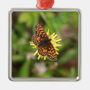 Schmetterling - Schön! Ornament Aus Metall