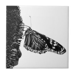 Schmetterling schüchtern blacq fliese
