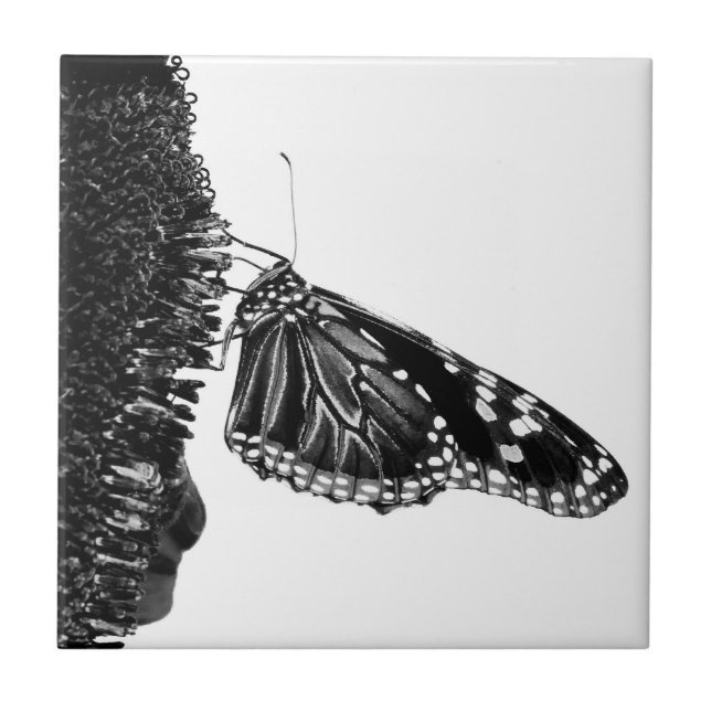 Schmetterling schüchtern blacq fliese (Vorderseite)