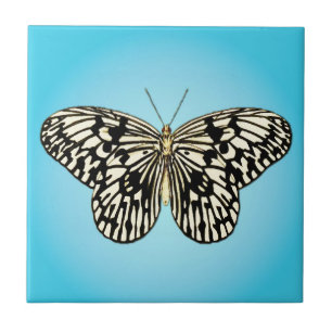 Schmetterling - schwarz-weiß auf türkis fliese