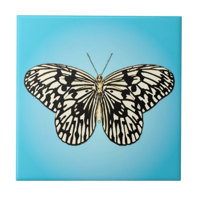 Schmetterling - schwarz-weiß auf türkis fliese (Vorderseite)