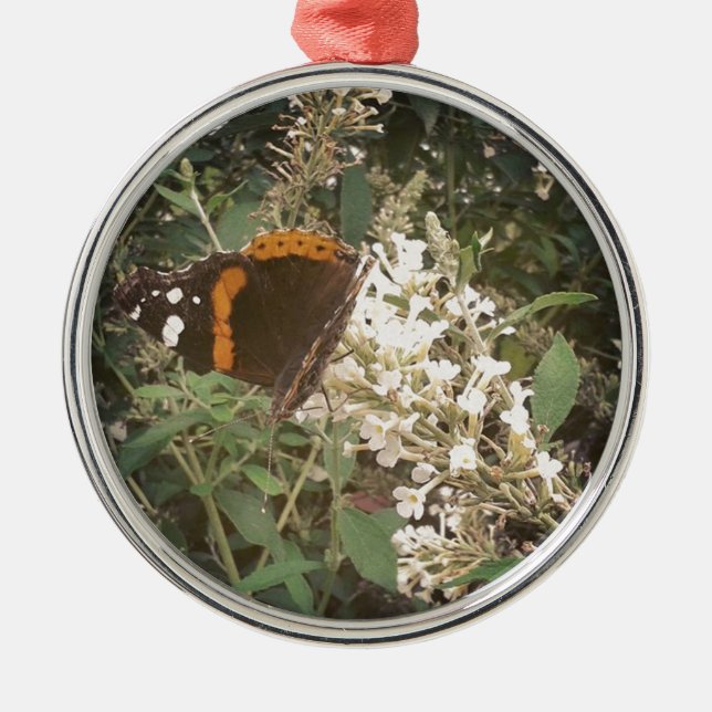 Schmetterling Silbernes Ornament (Vorne)