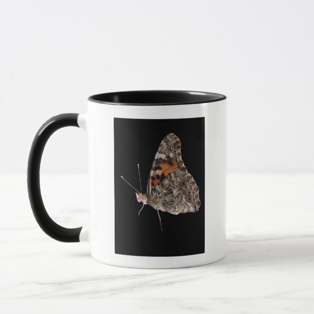 Schmetterling Tasse (Links)