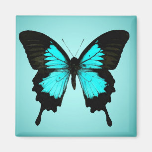 Schmetterling - türkisblau und schwarz magnet