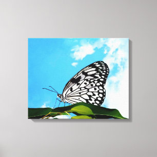 Schmetterling u. Himmel Leinwanddruck
