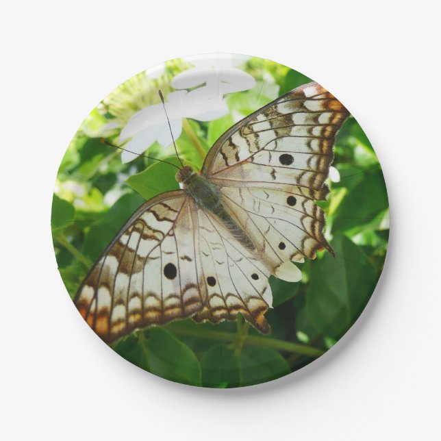 Schmetterling über Jasmine Tropical Nature Fotogra Pappteller (Vorderseite)
