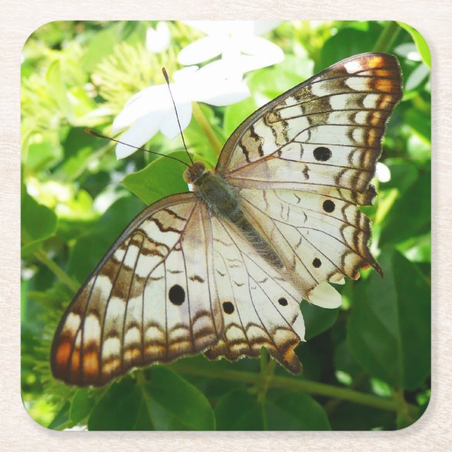 Schmetterling über Jasmine Tropical Nature Fotogra Rechteckiger Pappuntersetzer (Vorderseite)