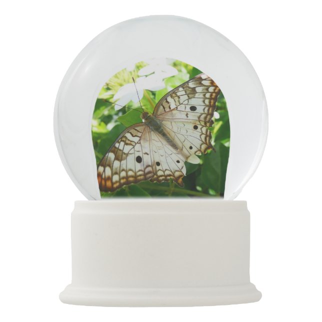 Schmetterling über Jasmine Tropical Nature Fotogra Schneekugel (Vorderseite)