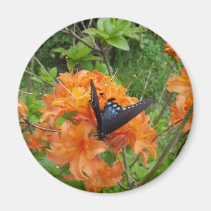 Schmetterling und Azalee Magnet
