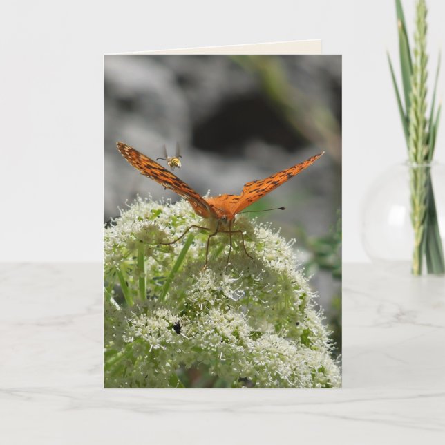 Schmetterling und Biene, leere Grußkarte Karte (Vorderseite)