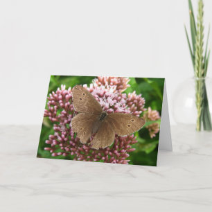 Schmetterling und Blume Denken Sie an Ihre Grußkar Karte