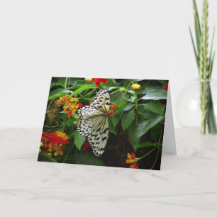 Schmetterling und Blume Hi/Hello Grußkarte Karte