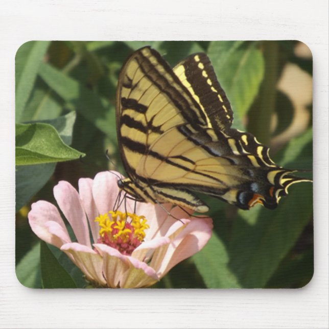 Schmetterling und Blume Mousepad (Vorne)