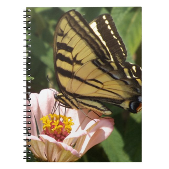 Schmetterling und Blume Notizblock (Vorderseite)
