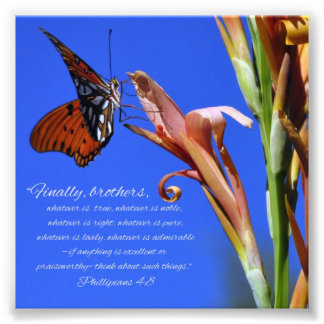 Schmetterling und Blume Phillipianer 4:8 Schrift Fotodruck