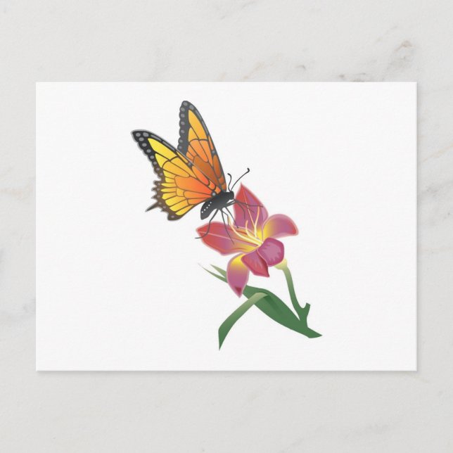 Schmetterling und Blume Postkarte (Vorderseite)
