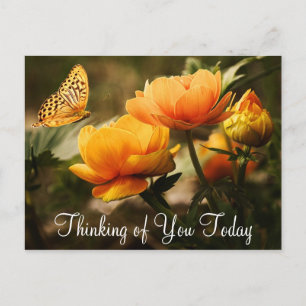 Schmetterling und Blume Postkarte
