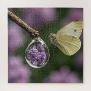 Schmetterling und Fliederblütenreflexion im Regent