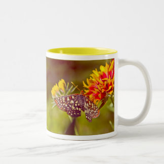 Schmetterling und Gaillardia Zweifarbige Tasse
