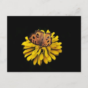 Schmetterling und gelbe Blume Postkarte