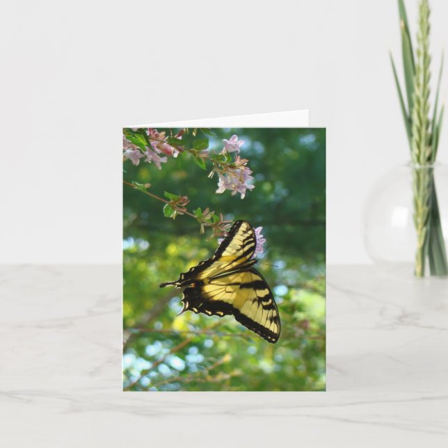 Schmetterling und Himmel Karte (Vorderseite)