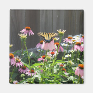 Schmetterling und Kone-Blume Magnet