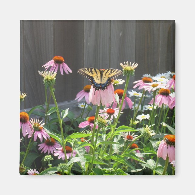 Schmetterling und Kone-Blume Magnet (Vorne)