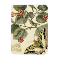 Schmetterling und Libelle mit roten Blume