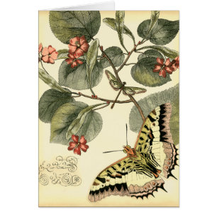 Schmetterling und Libelle mit roten Blumen