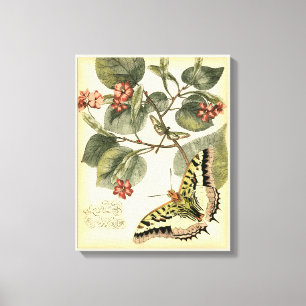 Schmetterling und Libelle mit roten Blumen Leinwanddruck