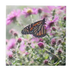 Schmetterling und Lila Blume Fliese