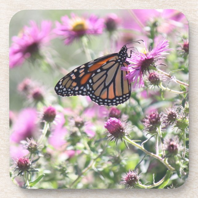 Schmetterling und Lila Blume Getränkeuntersetzer (Vorderseite)