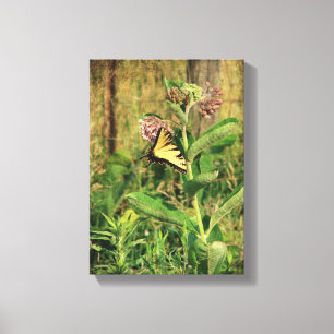 Schmetterling und Milkweed Leinwanddruck