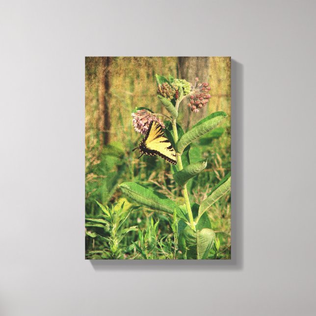 Schmetterling und Milkweed Leinwanddruck (Vorderseite)