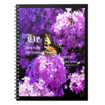 Schmetterling und Phlox, Ecclesiastes 3:11