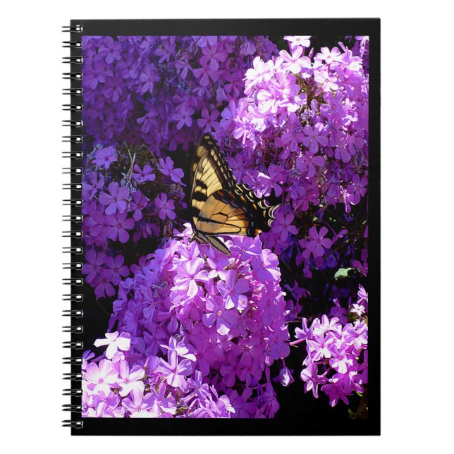 Schmetterling und Phlox Notizblock (Vorderseite)