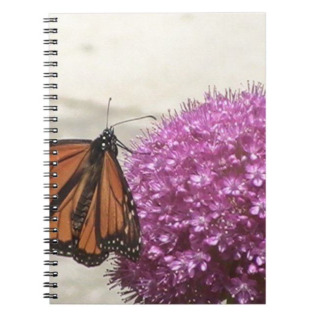 Schmetterling und Riesenzwiebel Notizblock (Vorderseite)