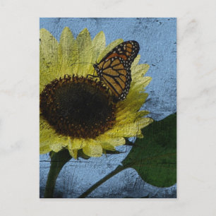 Schmetterling und Sonnenblume Postkarte