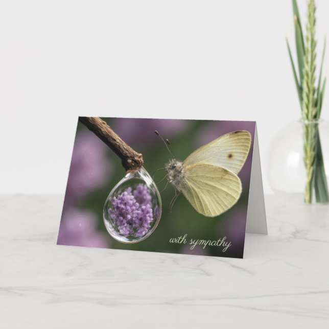 Schmetterling und Tautropfen mit Flieder Karte (Vorderseite)