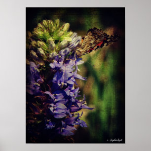 Schmetterling und violette Blumen Poster