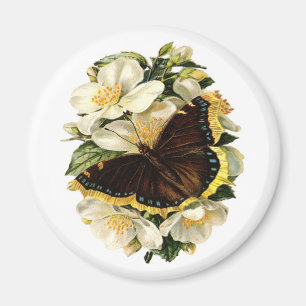 SCHMETTERLING UND WEISSE BLUMEN MAGNET
