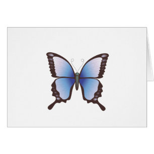 Schmetterling: Vektorillustration: