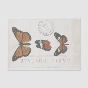 Schmetterling Vintage Französische Carte Postale D Seidenpapier