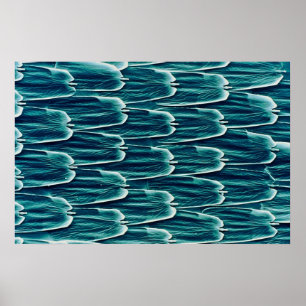 Schmetterling - Waage Poster