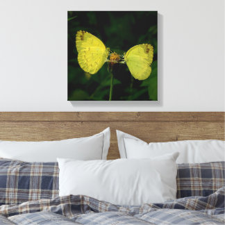 Schmetterling Wing Of Change Premium Spanncanvas Leinwanddruck