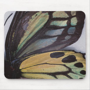Schmetterling Wings Mousepad
