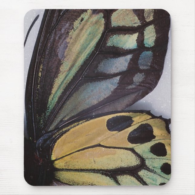 Schmetterling Wings Mousepad (Vorne)